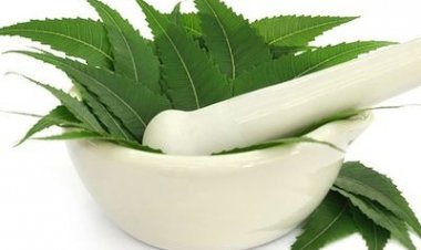 चमकदार और स्वस्थ बाल पाने के लिए नीम को अपने हेयर फिटनेस रेजिमेंट में करें शामिल