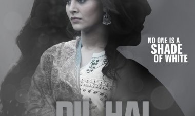 क्राइम थ्रिलर फिल्म 'दिल है ग्रे' जुलाई में होगी रिलीज़