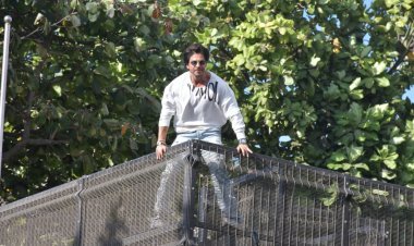 फ़िल्म चिड़ियाखाना के हाथ लगी कामयाबी