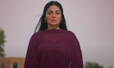 सतिंदर सरताज और नीरू बाजवा स्टारर 'शायर' का ट्रेलर हुआ रिलीज़, फिल्म 19 अप्रैल 2024 को सिनेमाघरों में होगी रिलीज़